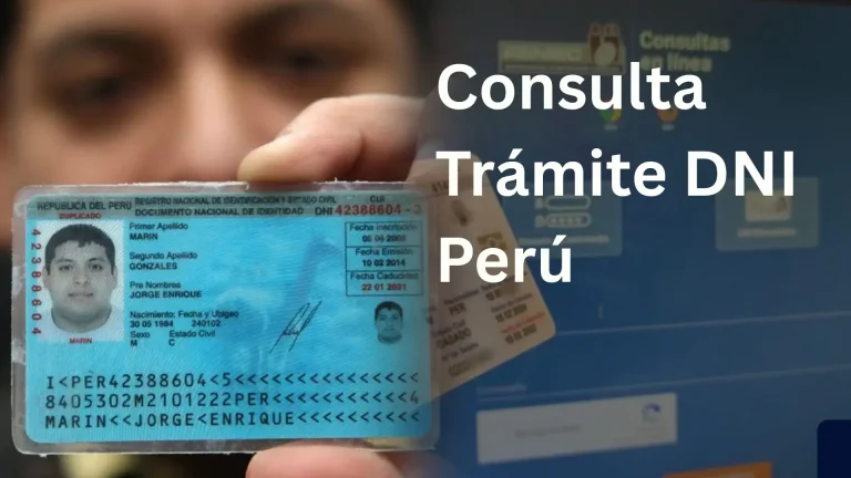 Consulta Trámite DNI Perú