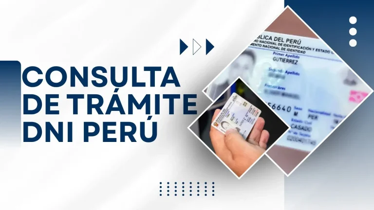 Consulta de Trámite DNI Perú